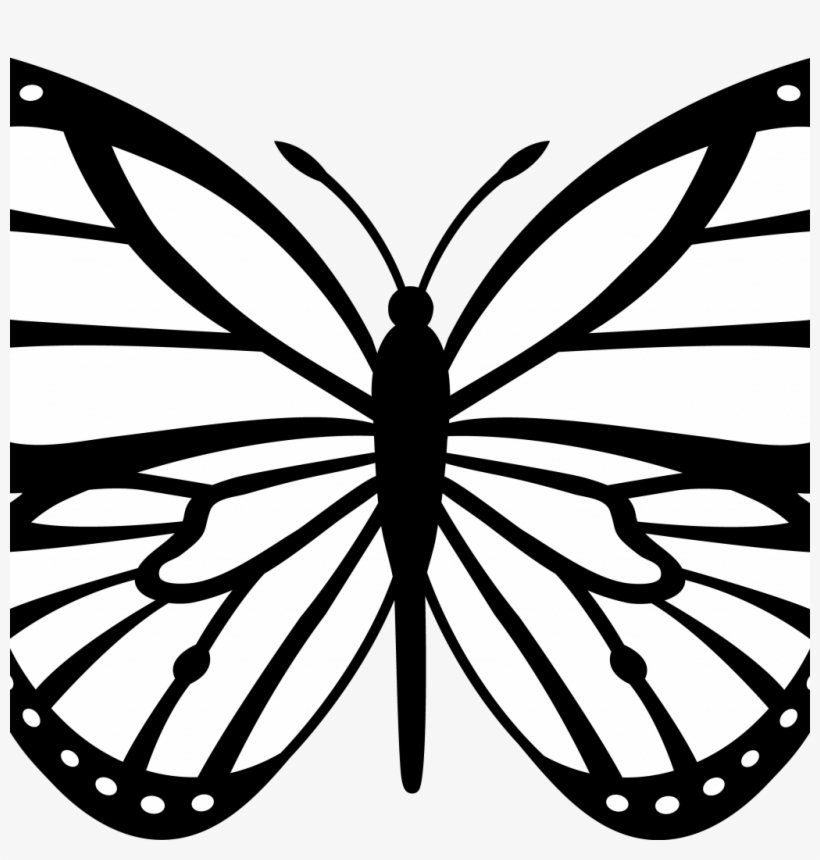 Traceable Butterfly Images With Free Butterfly Wing - Butterfly Line Art Png, transparent png