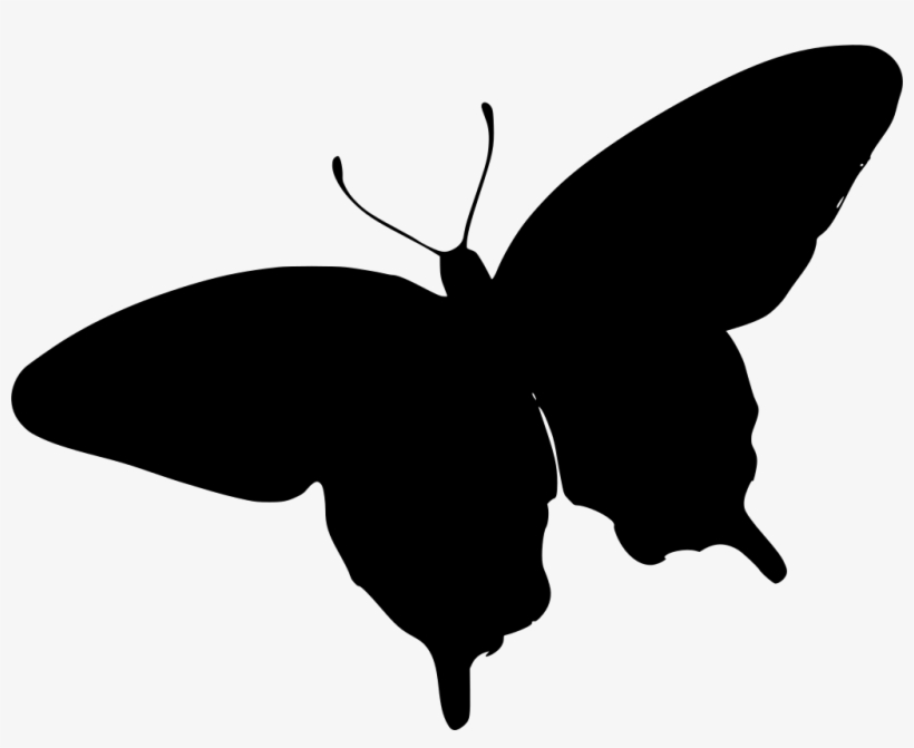 Download Png - Animation Butterfly Clips Arts, transparent png
