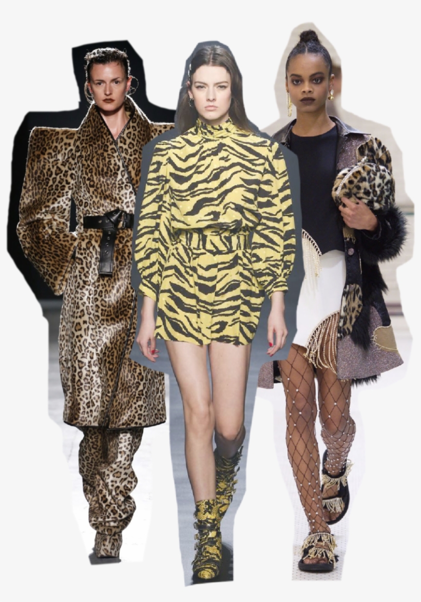 Photos - Fashion Show, transparent png