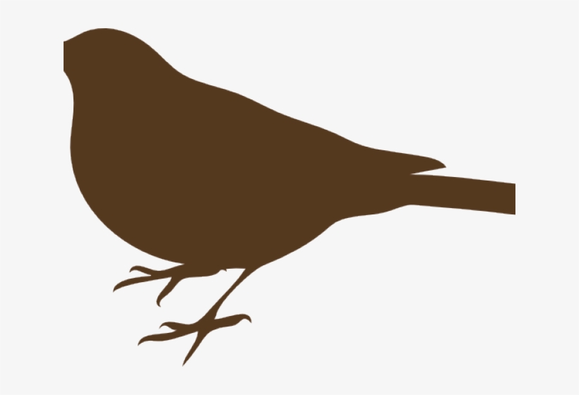 Bird Silhouette Clip Art, transparent png