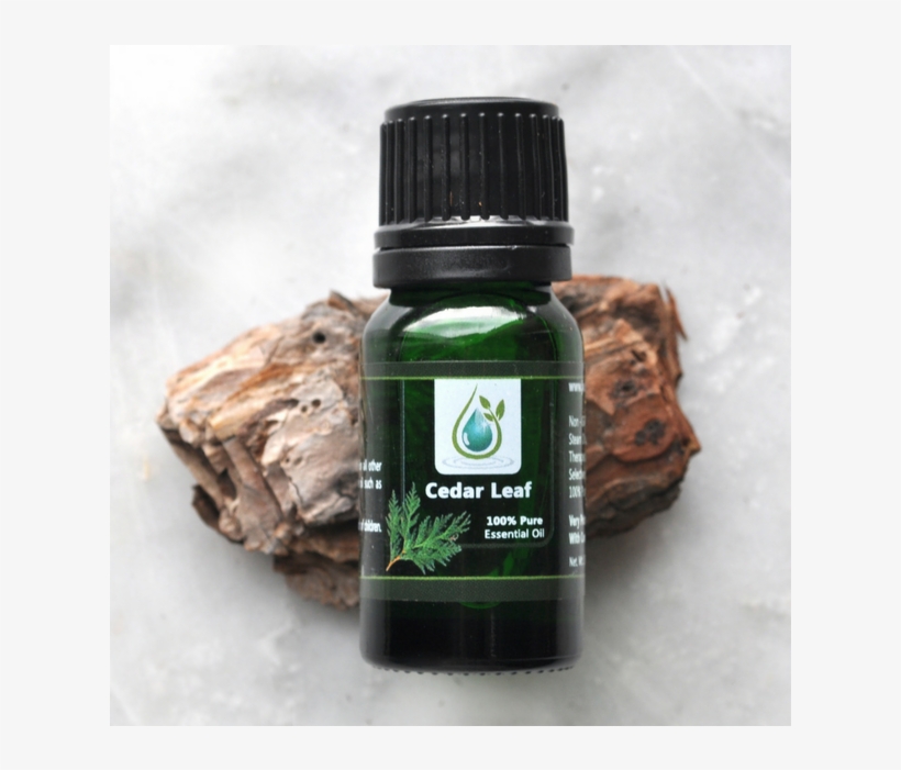 Leaf Cedar 100% Pure Essential Oil 100% Pure Essential - Chocolate, transparent png