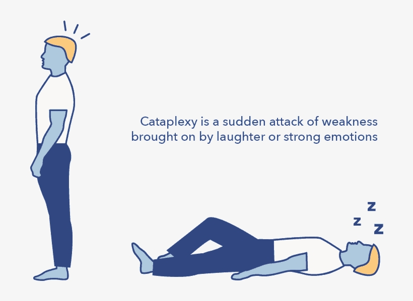 Sleep Education Article, Hypersomnia, Cataplexy Graphic - Illustration, transparent png