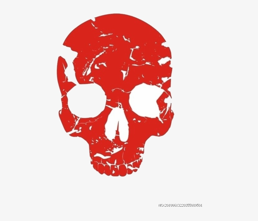 Bone Human Skull Skeleton Free Transparent Image Hq - Skull, transparent png