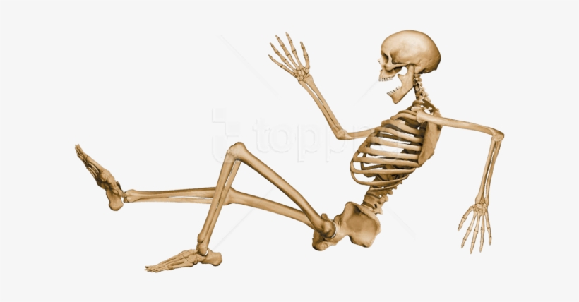 Free Png Skeleton, Skull Png Images Transparent - Skeleton On Roller Skates, transparent png