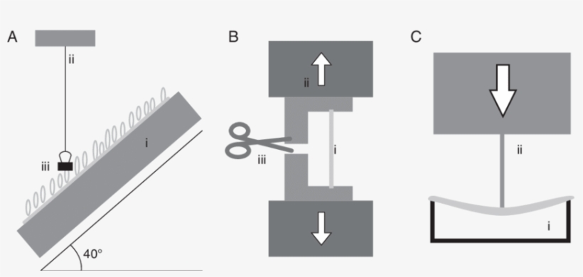 Methods Used For Mechanical Testing Of Small Specimens - Diagram, transparent png