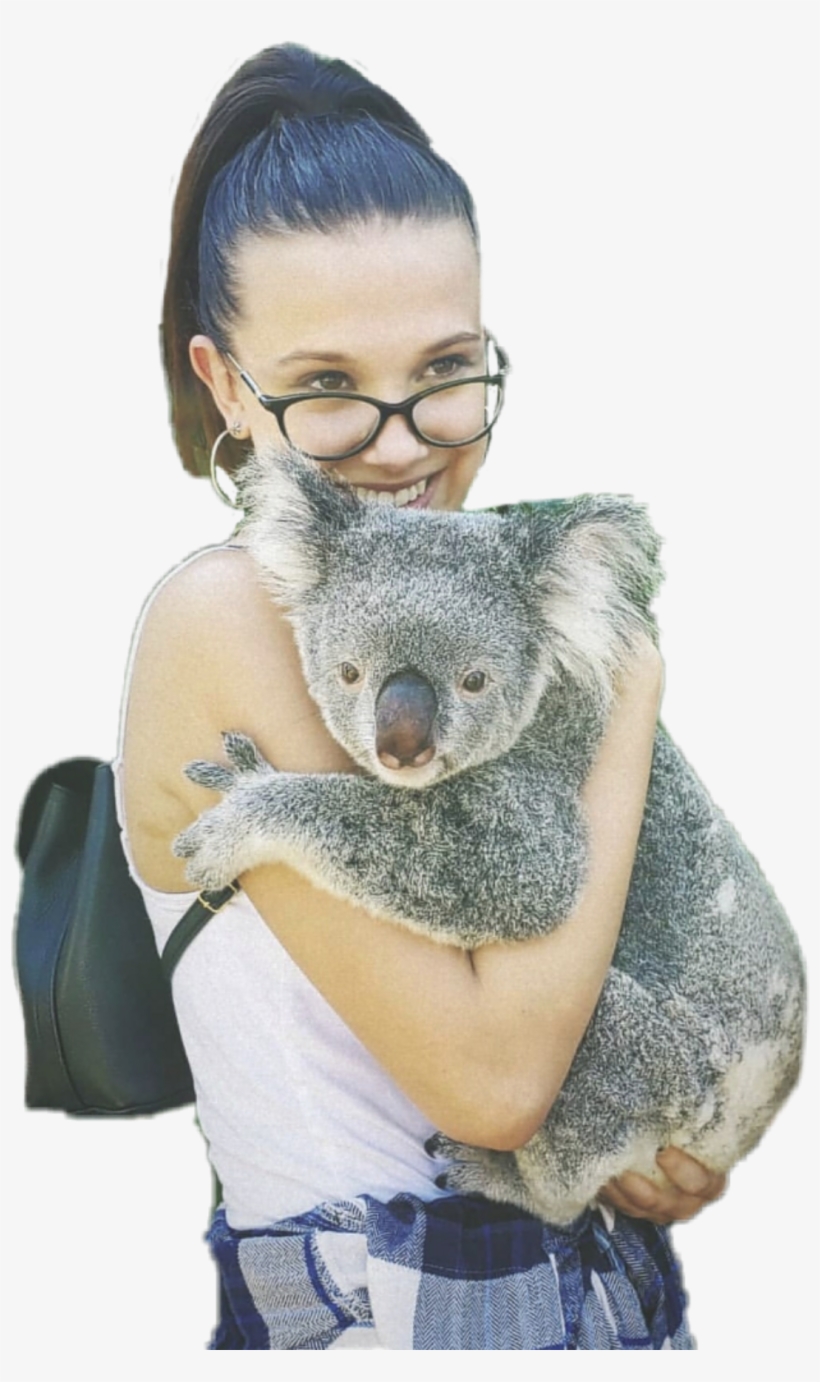 Millie Milliebobbybrown Freetoedit - Punxsutawney Phil, transparent png