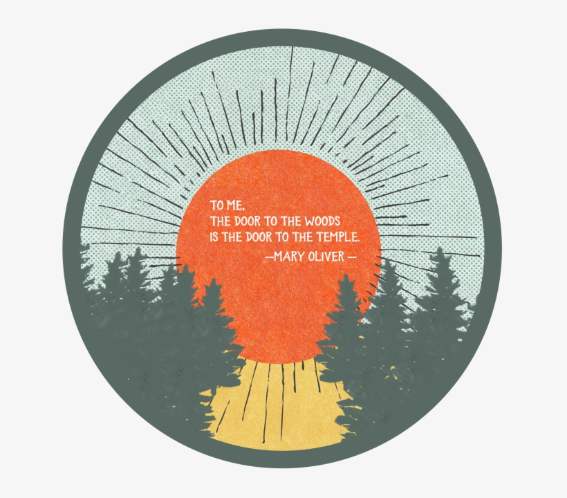 Circle, transparent png