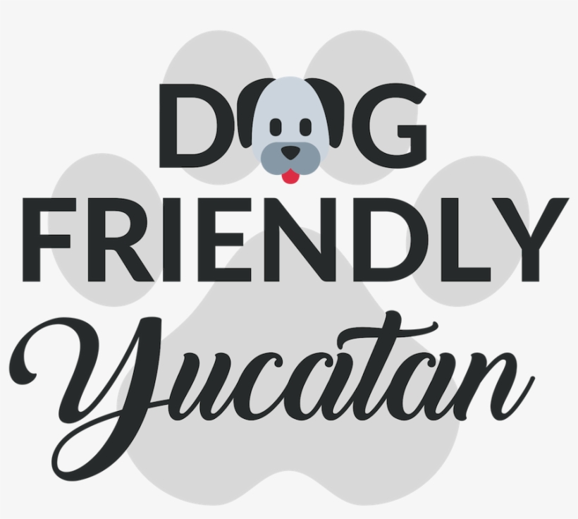 Dog Friendly Yucatan - Panda, transparent png
