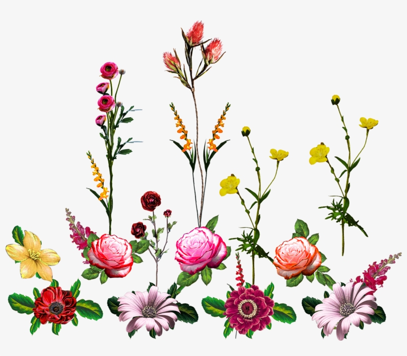 Vector,flower,vector Art,flower Vector,vector Flower - Artificial Flower, transparent png