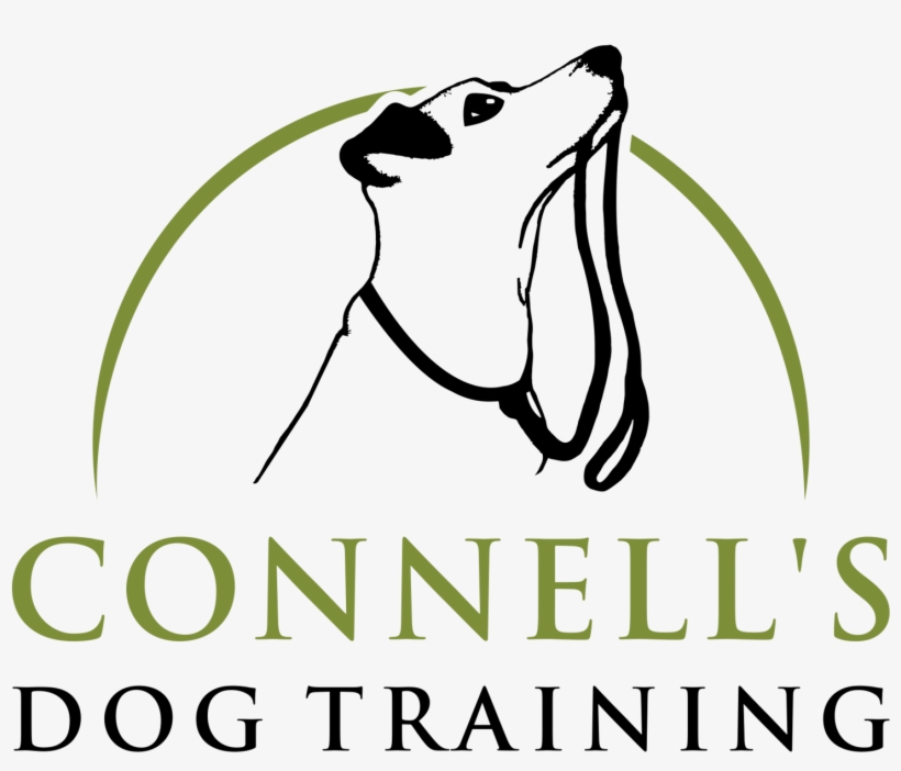 Connell S Training - Novartis, transparent png