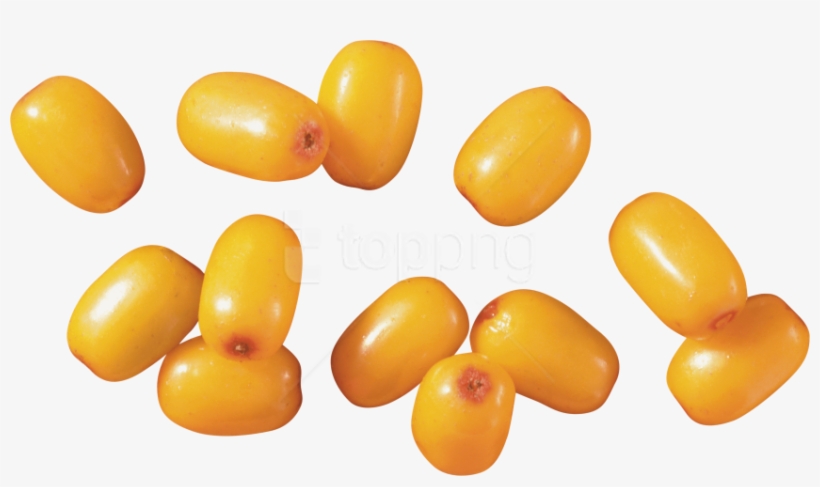 Free Png Download Sea Buckthorn Png Images Background - Sea Buckthorn Png, transparent png