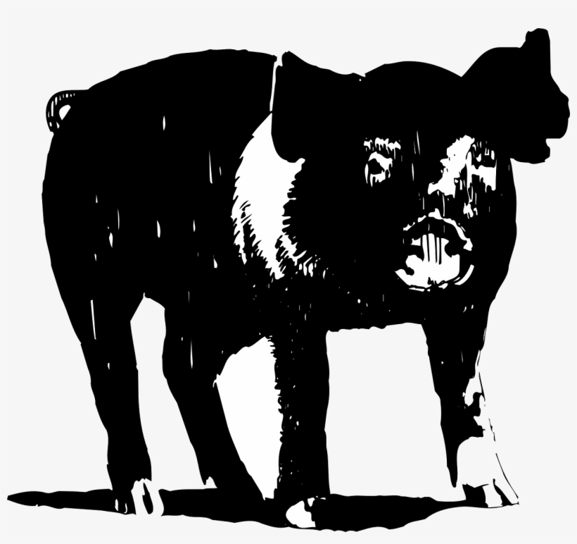 Barn Vector Animal - Black Pig Clip Art, transparent png