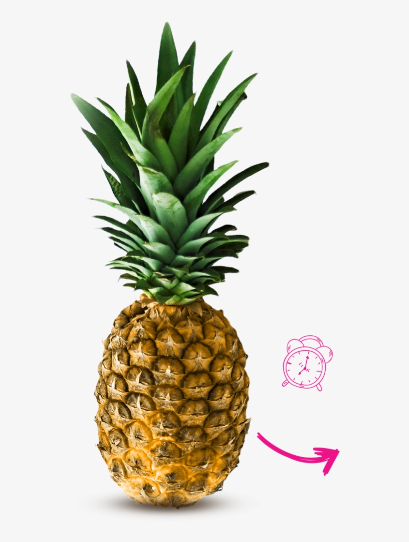 Pineapple Will Get Softer, But Not Sweeter - Biro Pen Fruit Drawings, transparent png