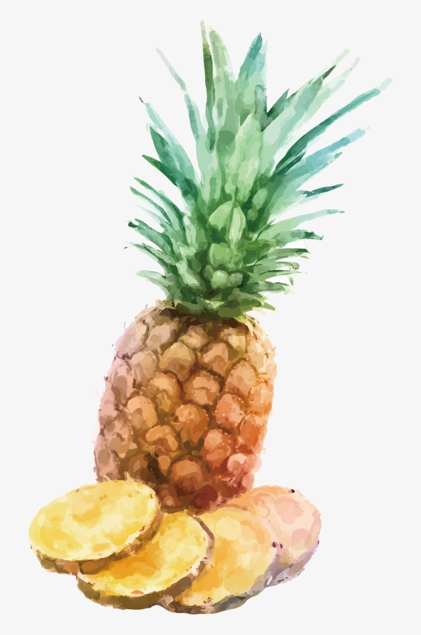 Fresh Pineapple Slices - Watercolor Painting, transparent png