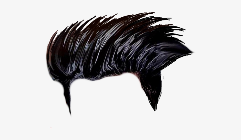 Black Hair Png Cb Hair Png Download - Cb Edits Background Png, transparent png
