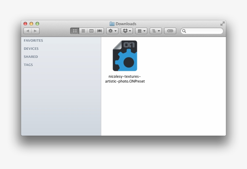 Lion Finder Window, transparent png