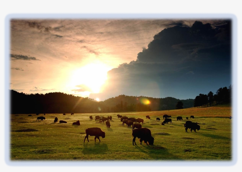 Conclusion - Good, transparent png