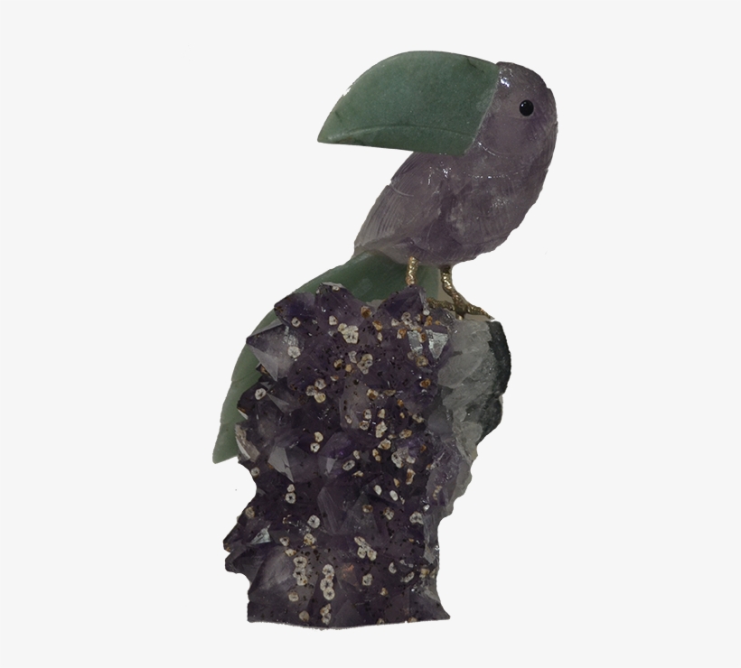 Crved Bird - Bird, transparent png