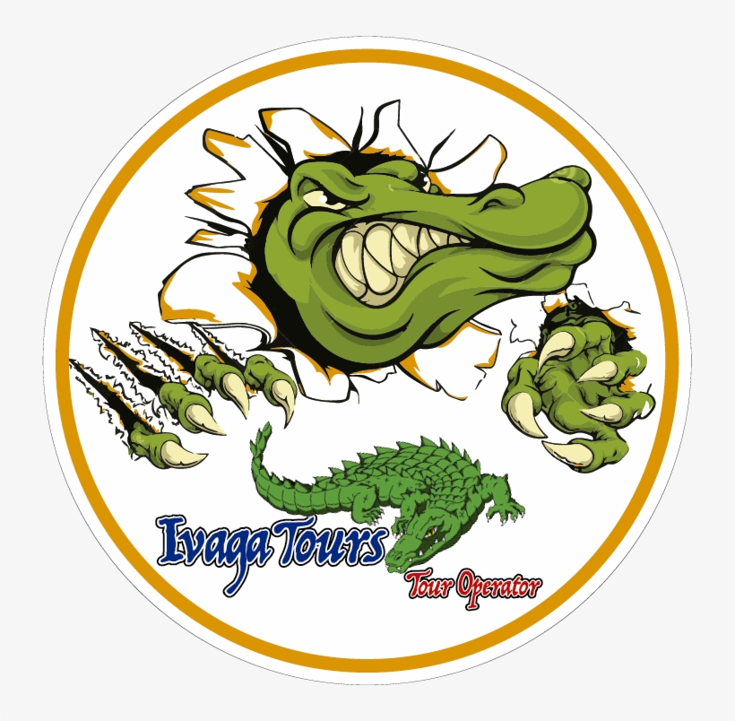 Circulo-blanco - Mr Alligator Crocodile Workbook Of Affirmations Mr, transparent png