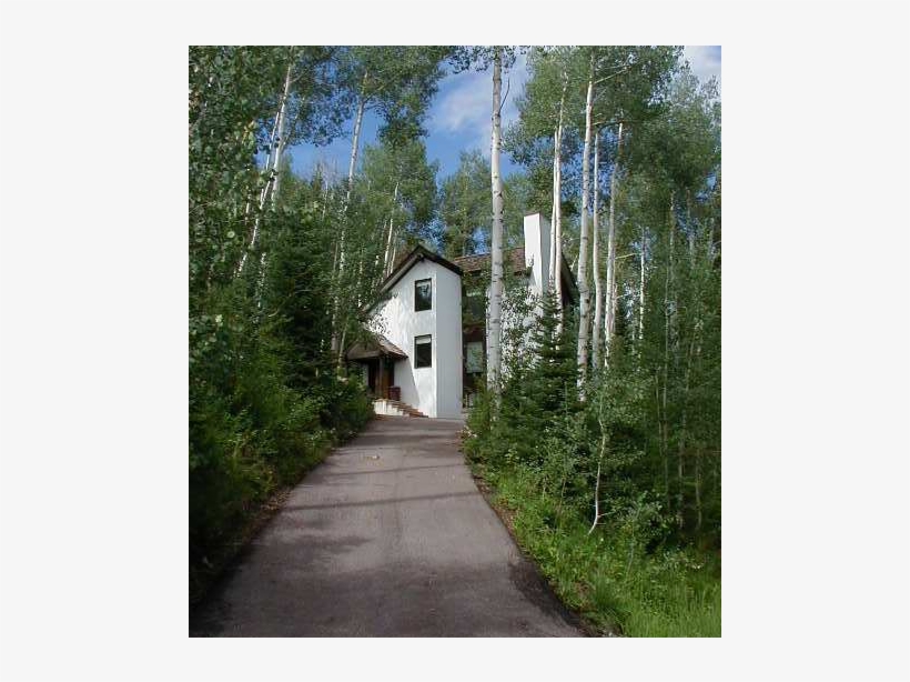Ski/summer House Among The Aspen Trees - Tree, transparent png