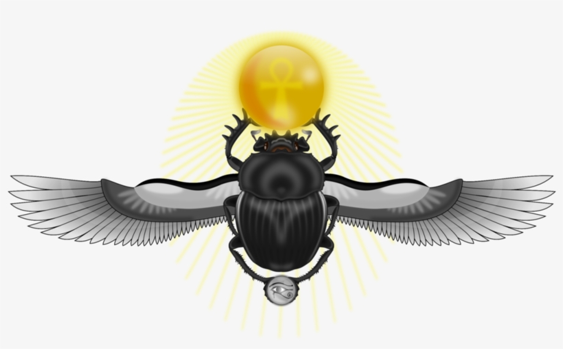 Dung Beetle Ancient Egypt Scarabs - Жук Скарабей С Крыльями, transparent png