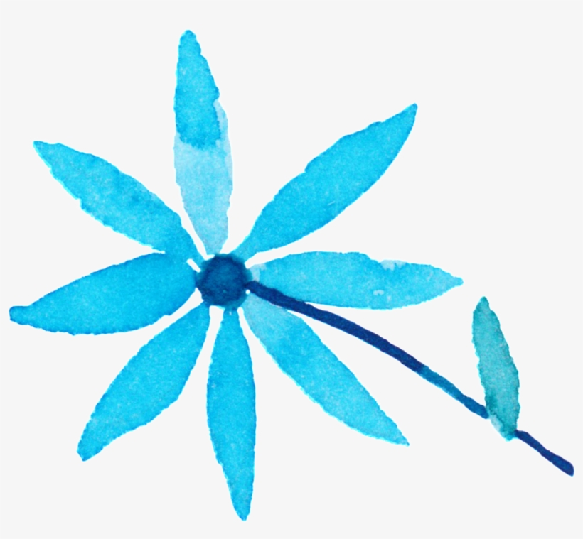 Illustration, transparent png