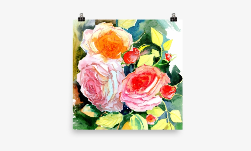 Bright And Floral Rose Watercolour Print Matte Poster - Watercolor Painting, transparent png