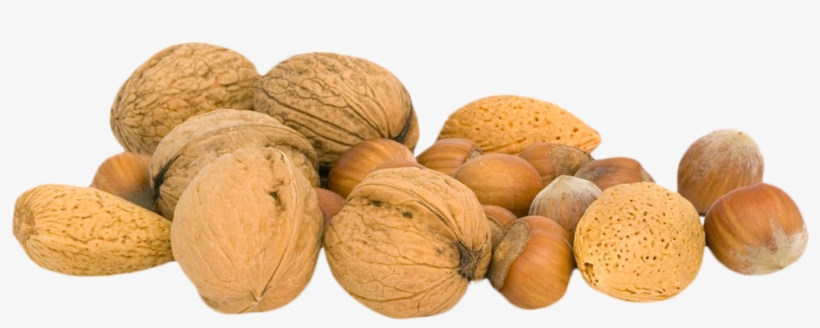 Walnut Png - Nuts Png, transparent png