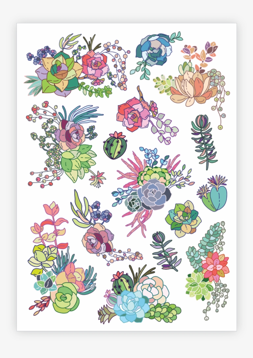 Succulents - Succulent Plant, transparent png
