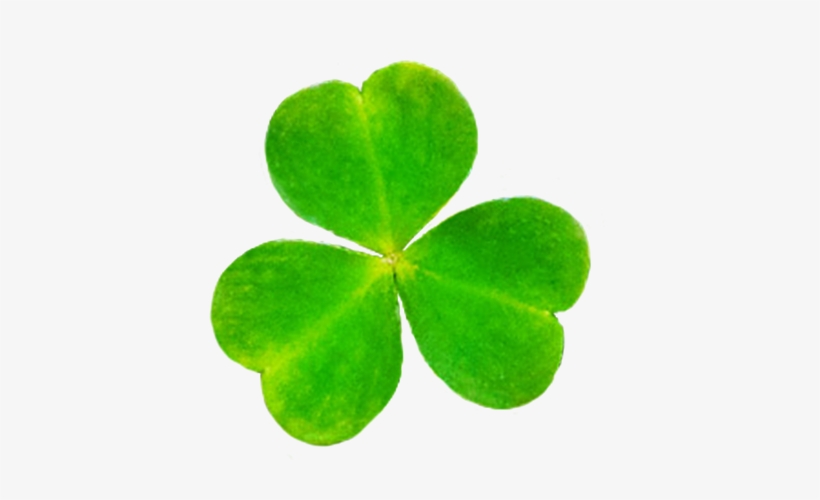 Patrick's Day - Shamrock, transparent png