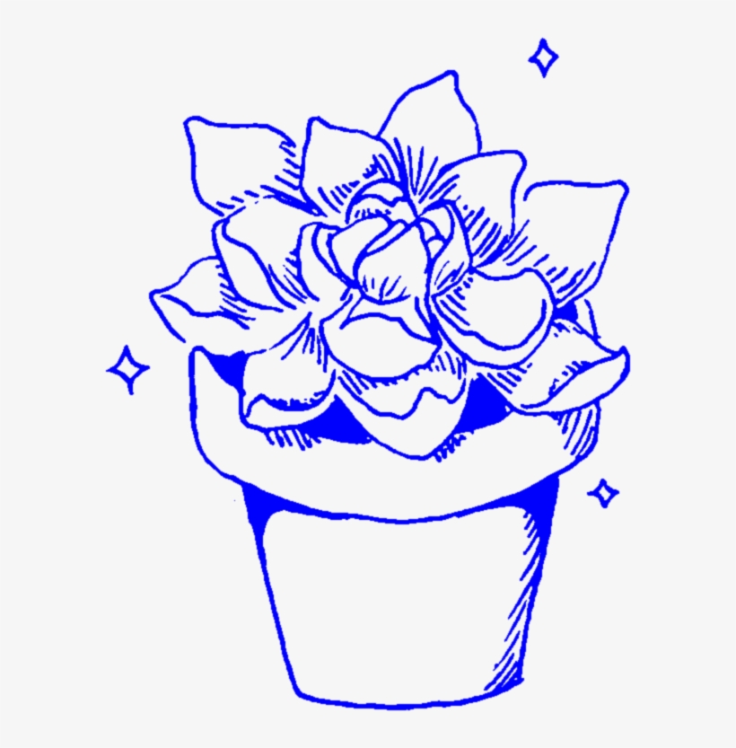 Aesthetic Succulent Succulents Cactus Cacti Plant Plant - Transparent Png Aesthetic White Blue, transparent png