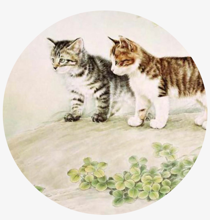 Mc Kittens - H.a.d. Originals Outdoor Grey, Headbands For Men, transparent png