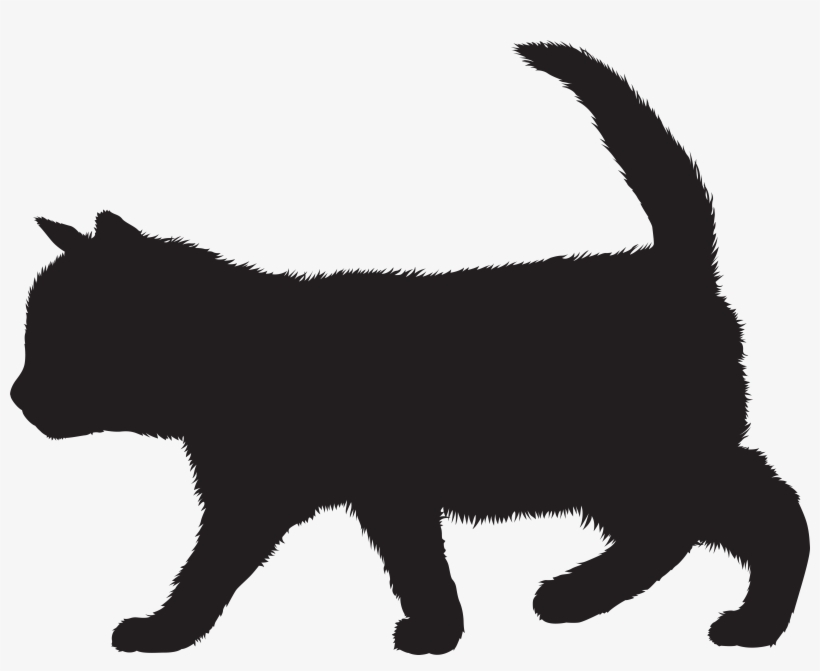 Kittens Png, transparent png