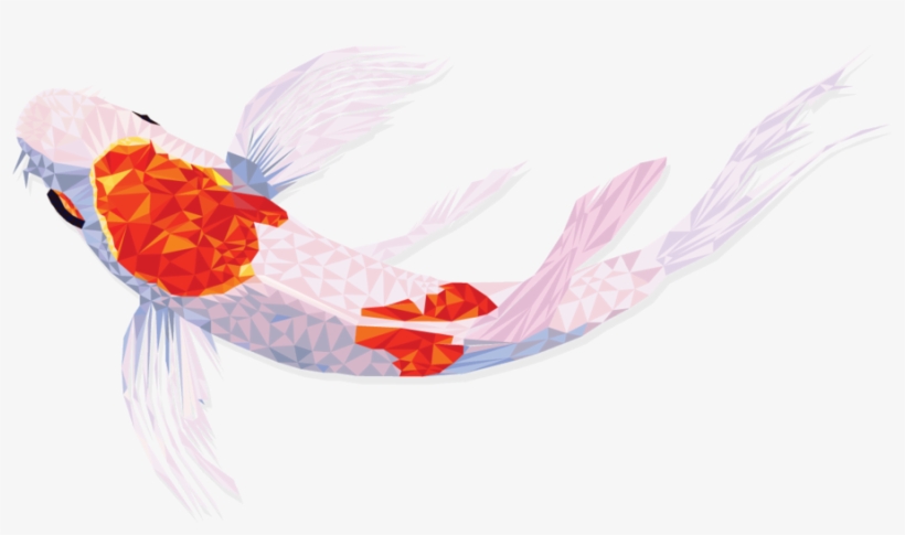 Koi - Portable Network Graphics, transparent png