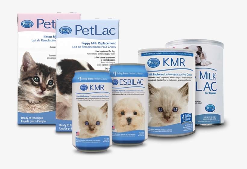 PetAg KMR Kitten Milk Replacer Powder, Lb PetCareRx, 48 OFF