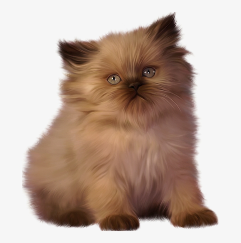 Kitten Persian Clip Art Transprent Png Free - Ragdoll Cat Clipart, transparent png