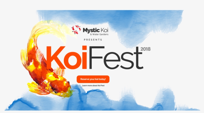 Mystic Koi 2018 Koi Grow Out Selection And Koi Festival - Sculptra Aesthetic, transparent png