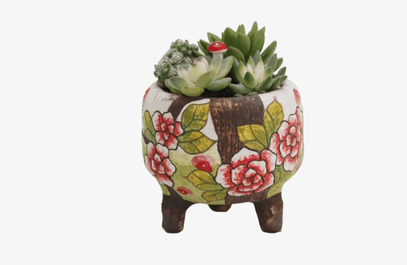 Succulents In Handmade Pots Nps41 - Fruit Cup, transparent png