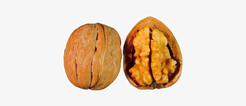 Walnut Png Free Download - Walnut Definition, transparent png