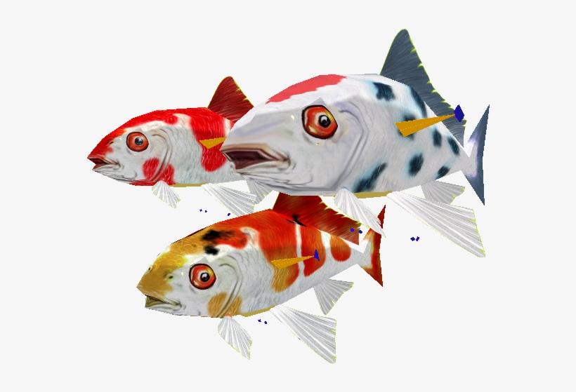 Download Zip Archive - Zoo Tycoon 2 Koi, transparent png