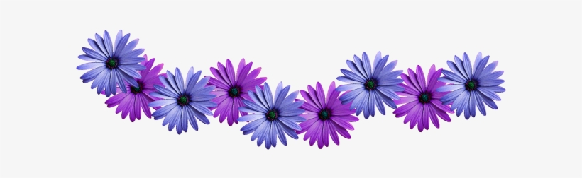 Violet Flower Vines Png, transparent png