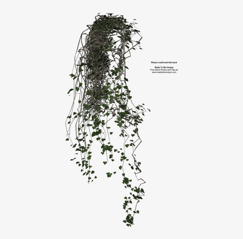 Collection Of 14 Free Arched Clipart Transparent Background - Cut Out Hanging Plants, transparent png