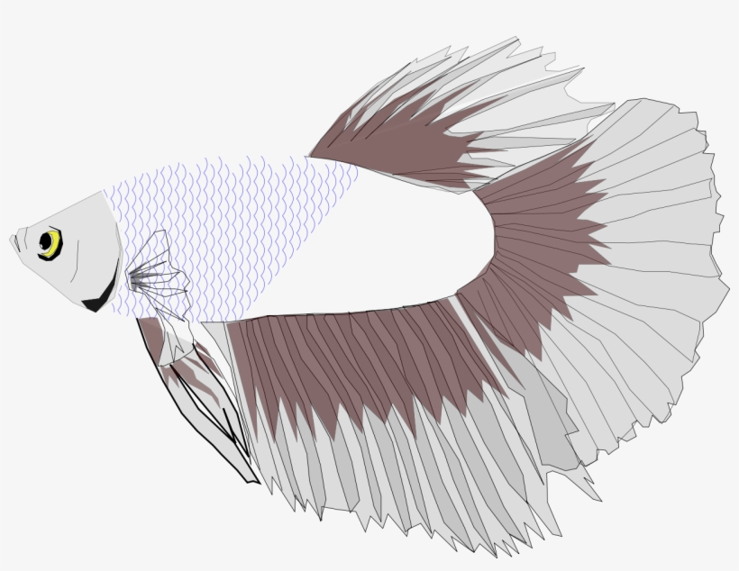 Betta Half Moon - Siamese Fighting Fish, transparent png