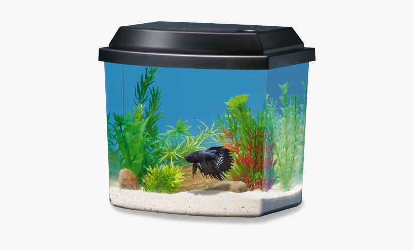 1 Gallon - National Geographic 1 Gallon Fish Tank, transparent png