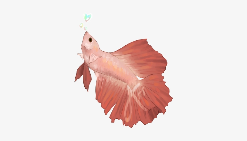 $10 Fish Commissions - Fish, transparent png