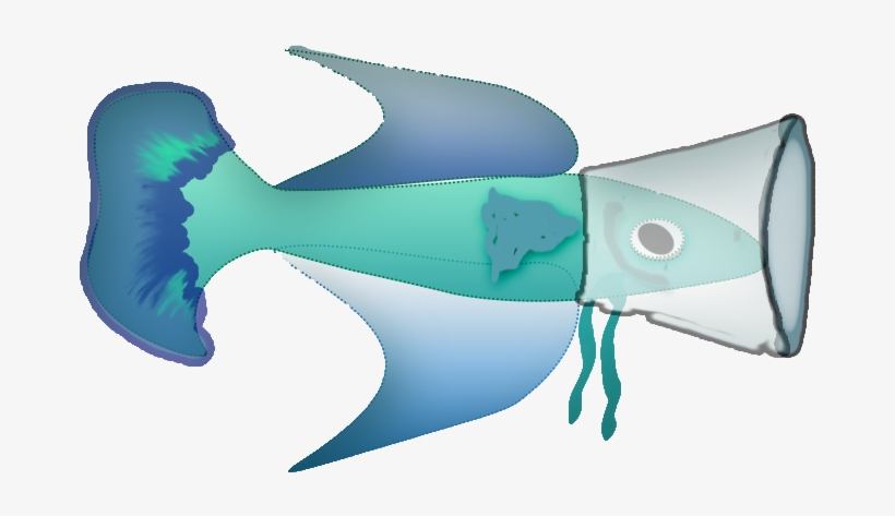 Possible Solution To Betta Tail Biting - Betta Has Tail Bites, transparent png