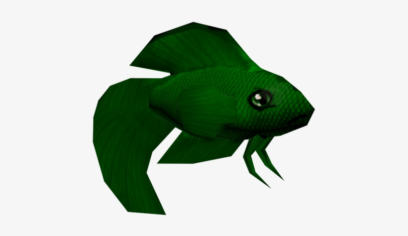 Try And Survive As The Only Male Betta Fish In Your - Goldfish, transparent png