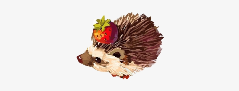 Hedgehog Paper Drawing Watercolor Painting Illustration - Hedgehog In A Teacup Tattoos, transparent png