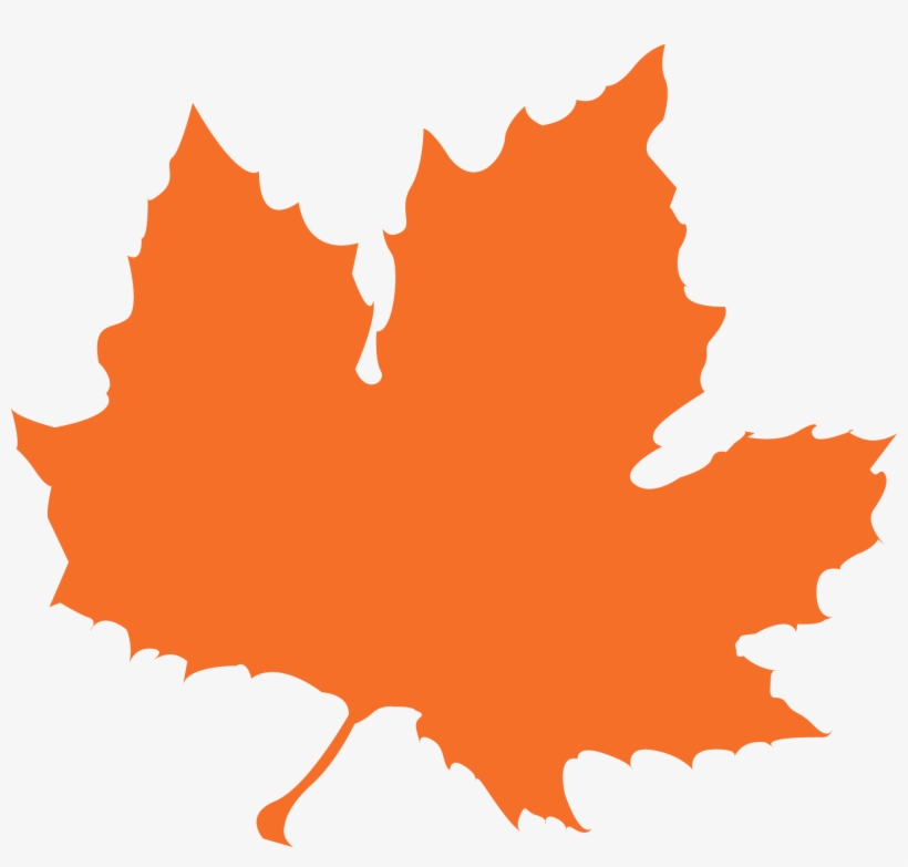 Autumn-leaf - Aaron G. Margulies, Md, Facs, transparent png