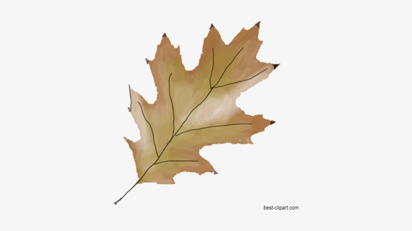 Free Fall Leaf Clip Art - Clip Art, transparent png
